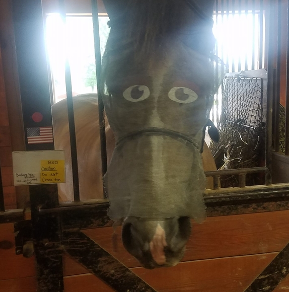 Meet your Posher, Joshua - Picture 1 of 1